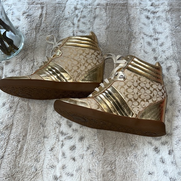 GOLDEN AND KHAKI - Picture 3 of 5